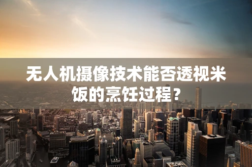 无人机摄像技术能否透视米饭的烹饪过程？