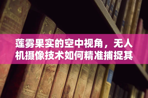 莲雾果实的空中视角，无人机摄像技术如何精准捕捉其独特魅力？