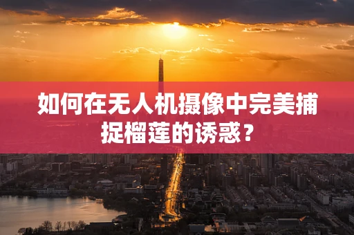 如何在无人机摄像中完美捕捉榴莲的诱惑？