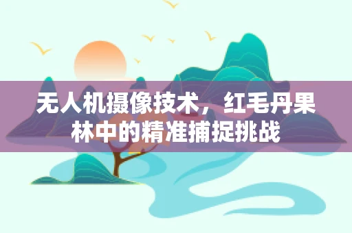 无人机摄像技术，红毛丹果林中的精准捕捉挑战