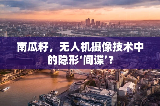 南瓜籽，无人机摄像技术中的隐形‘间谍’？