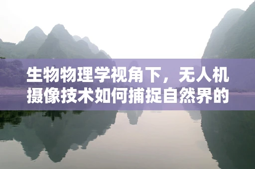 生物物理学视角下，无人机摄像技术如何捕捉自然界的微妙变化？