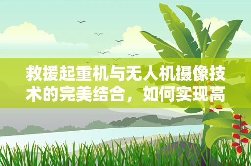 救援起重机与无人机摄像技术的完美结合，如何实现高效搜救？