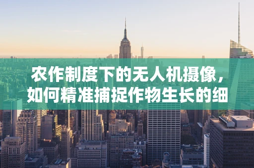 农作制度下的无人机摄像，如何精准捕捉作物生长的细微变化？