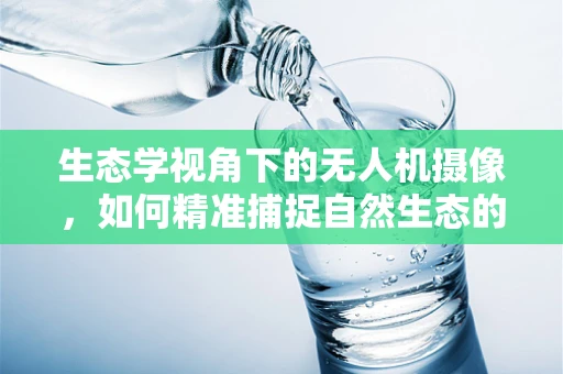 生态学视角下的无人机摄像，如何精准捕捉自然生态的微妙变化？