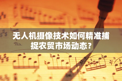 无人机摄像技术如何精准捕捉农贸市场动态？