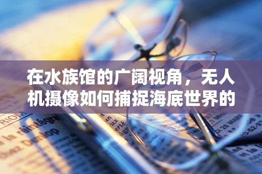 在水族馆的广阔视角，无人机摄像如何捕捉海底世界的奇观？