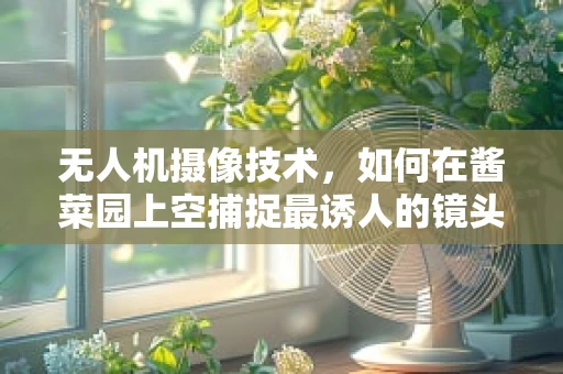 无人机摄像技术，如何在酱菜园上空捕捉最诱人的镜头？