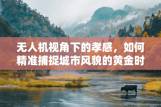 无人机视角下的孝感，如何精准捕捉城市风貌的黄金时刻？