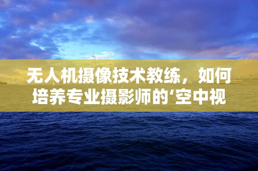 无人机摄像技术教练，如何培养专业摄影师的‘空中视角’？