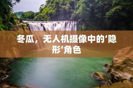 冬瓜，无人机摄像中的‘隐形’角色