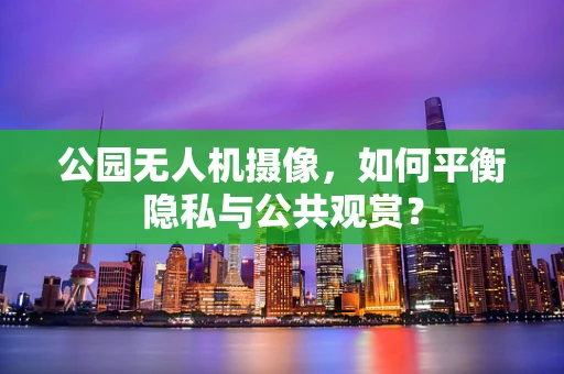 公园无人机摄像，如何平衡隐私与公共观赏？