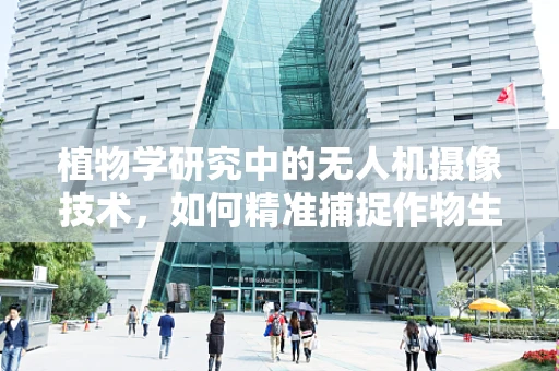 植物学研究中的无人机摄像技术，如何精准捕捉作物生长细节？