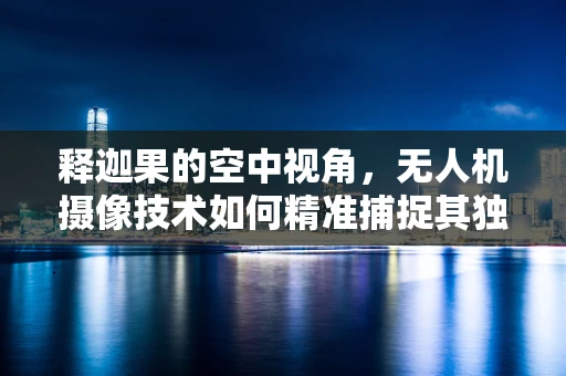 释迦果的空中视角，无人机摄像技术如何精准捕捉其独特魅力？
