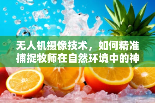 无人机摄像技术，如何精准捕捉牧师在自然环境中的神圣瞬间？