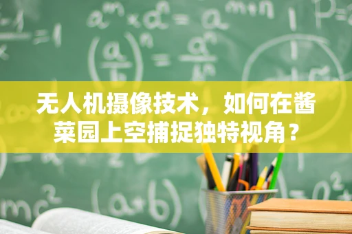无人机摄像技术，如何在酱菜园上空捕捉独特视角？
