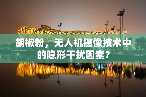 胡椒粉，无人机摄像技术中的隐形干扰因素？