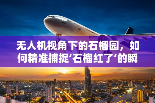 无人机视角下的石榴园，如何精准捕捉‘石榴红了’的瞬间？