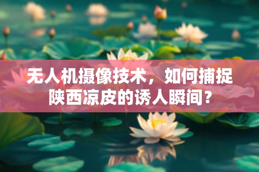 无人机摄像技术，如何捕捉陕西凉皮的诱人瞬间？