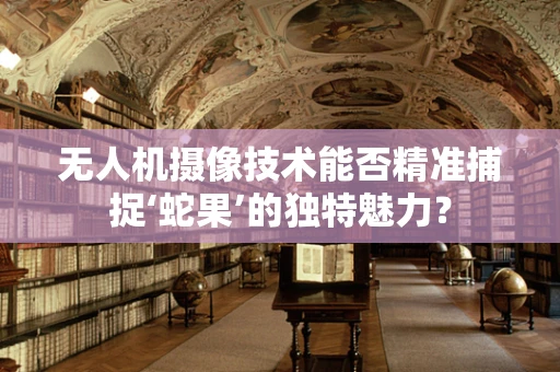 无人机摄像技术能否精准捕捉‘蛇果’的独特魅力？