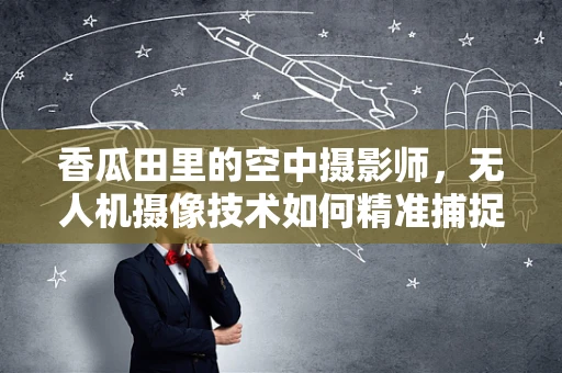 香瓜田里的空中摄影师，无人机摄像技术如何精准捕捉甜美瞬间？