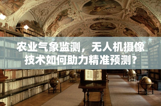 农业气象监测，无人机摄像技术如何助力精准预测？