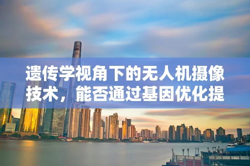 遗传学视角下的无人机摄像技术，能否通过基因优化提升图像质量？
