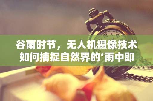 谷雨时节，无人机摄像技术如何捕捉自然界的‘雨中即景’？