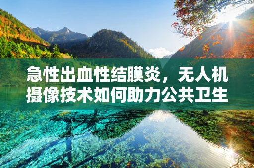 急性出血性结膜炎，无人机摄像技术如何助力公共卫生监测？