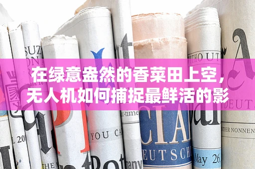 在绿意盎然的香菜田上空，无人机如何捕捉最鲜活的影像？
