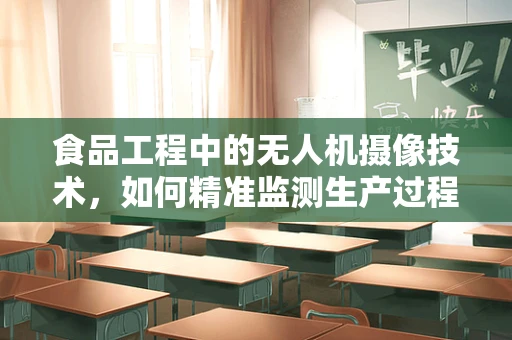 食品工程中的无人机摄像技术，如何精准监测生产过程？