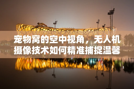 宠物窝的空中视角，无人机摄像技术如何精准捕捉温馨瞬间？