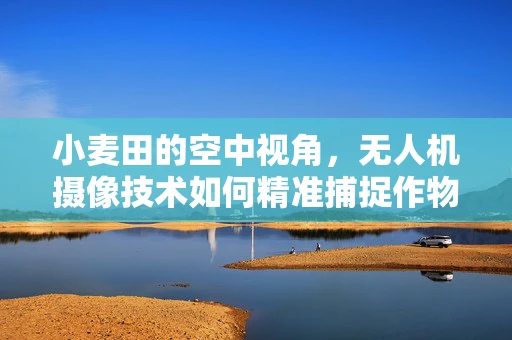 小麦田的空中视角，无人机摄像技术如何精准捕捉作物生长细节？