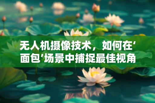 无人机摄像技术，如何在‘面包’场景中捕捉最佳视角？