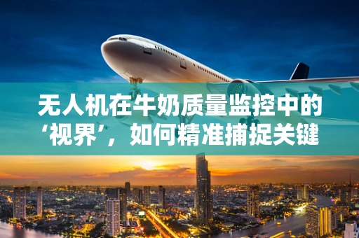 无人机在牛奶质量监控中的‘视界’，如何精准捕捉关键细节？