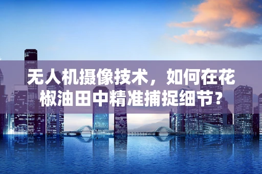 无人机摄像技术，如何在花椒油田中精准捕捉细节？