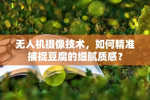 无人机摄像技术，如何精准捕捉豆腐的细腻质感？