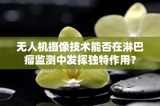 无人机摄像技术能否在淋巴瘤监测中发挥独特作用？