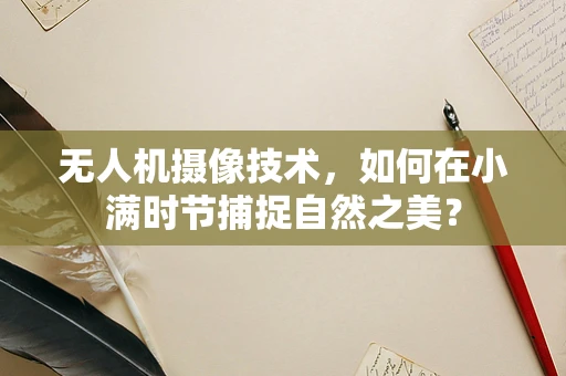无人机摄像技术，如何在小满时节捕捉自然之美？