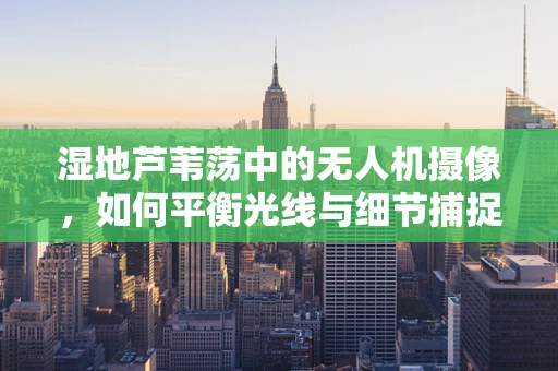 湿地芦苇荡中的无人机摄像，如何平衡光线与细节捕捉？