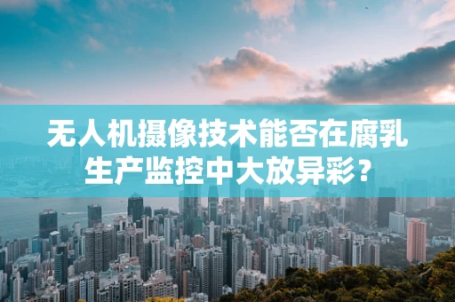 无人机摄像技术能否在腐乳生产监控中大放异彩？