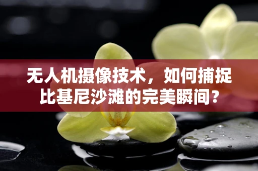 无人机摄像技术，如何捕捉比基尼沙滩的完美瞬间？