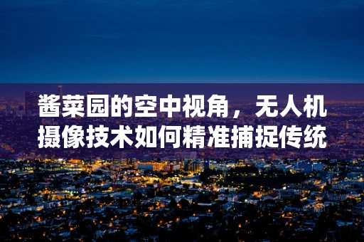 酱菜园的空中视角，无人机摄像技术如何精准捕捉传统美食的魅力？