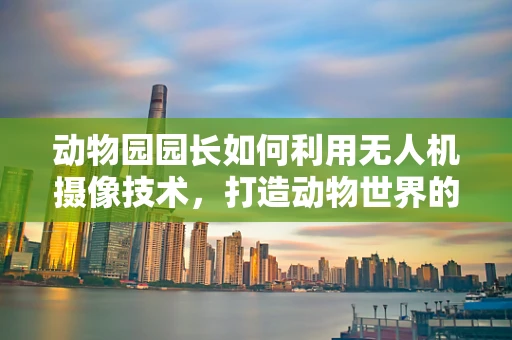动物园园长如何利用无人机摄像技术，打造动物世界的空中视角？