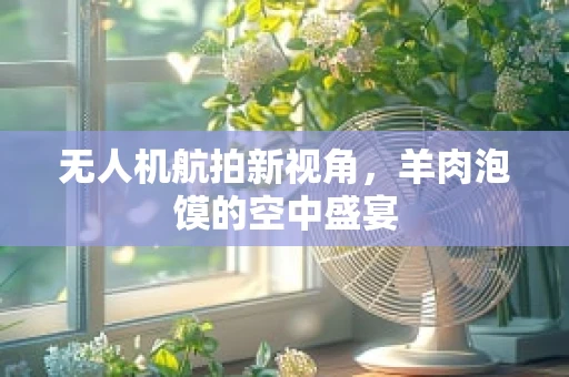 无人机航拍新视角，羊肉泡馍的空中盛宴
