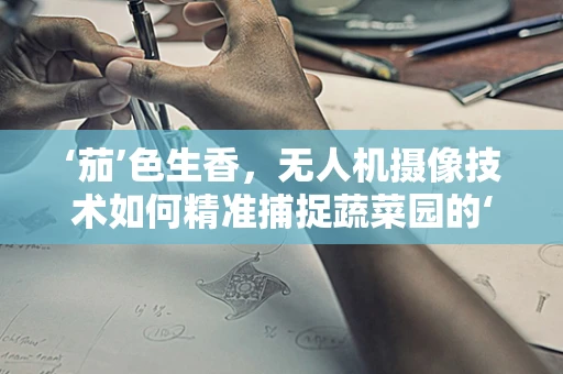 ‘茄’色生香，无人机摄像技术如何精准捕捉蔬菜园的‘茄’样年华？