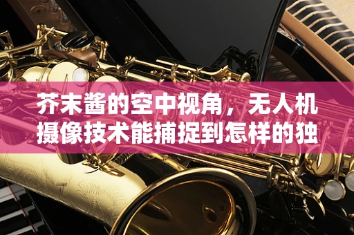 芥末酱的空中视角，无人机摄像技术能捕捉到怎样的独特画面？