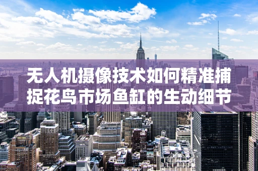 无人机摄像技术如何精准捕捉花鸟市场鱼缸的生动细节？
