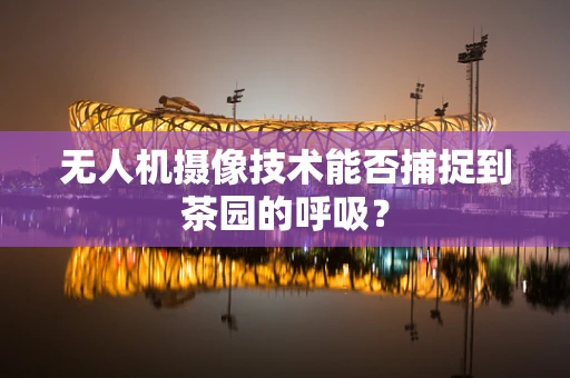 无人机摄像技术能否捕捉到茶园的呼吸？