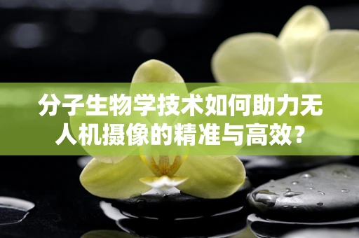 分子生物学技术如何助力无人机摄像的精准与高效？